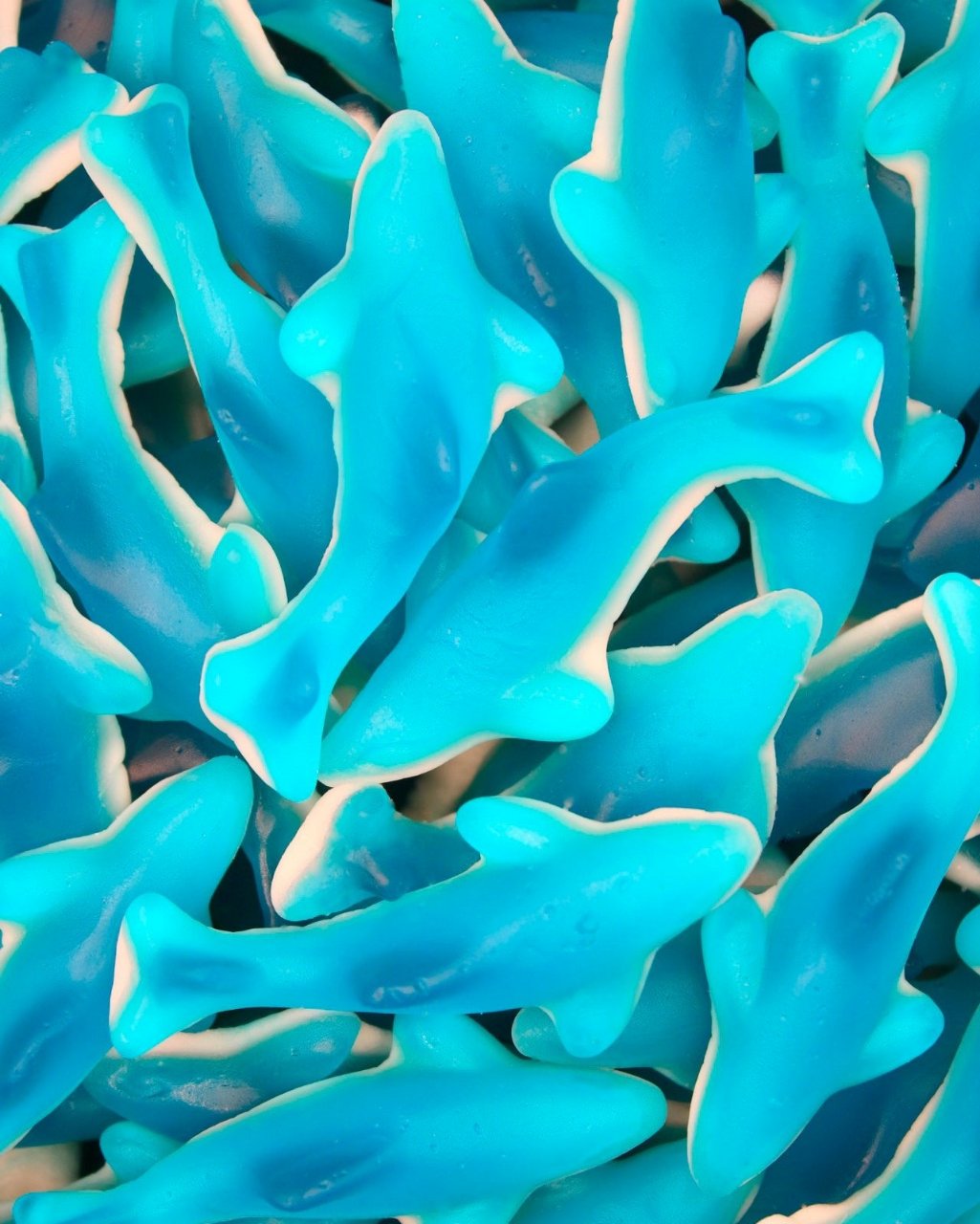 Blaue Haifische - Classic Süßigkeiten