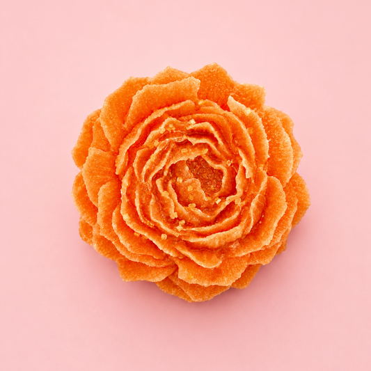 Fairytale Rose